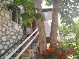 Apartment Dobre Vode