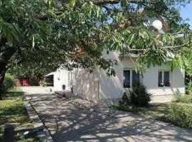 Apartment in Balatonbereny/Balaton 18081