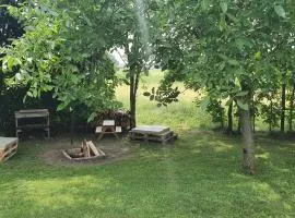 Dom Z Ogrodem Puszcza Augustowska