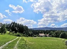Siedlisko Podjaworzem