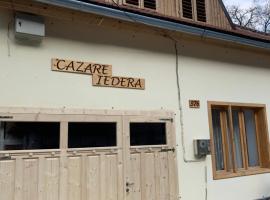 Cazare Iedera，位于萨斯卡蒙塔讷的酒店