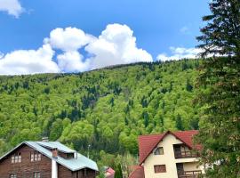 Holiday Home in Sinaia，位于锡纳亚的酒店