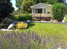 Ubytování Levandule