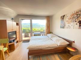 Velden Living Apartments - Schiefling Panorama，位于滨湖席弗灵的酒店