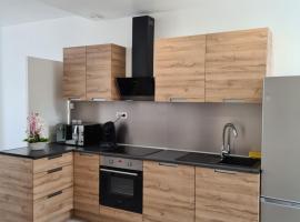 Vierzon superbe appartement，位于维耶尔宗的酒店