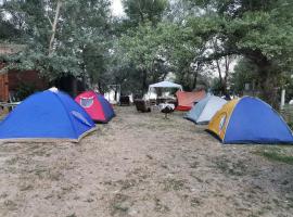 EXIT Camping with bungalow, mobile home, tents, and empty spots with private acces to the beach，位于诺维萨德的海滩短租房