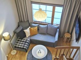 Gold Legend Paukkula#2 - Saariselkä Apartments，位于萨利色尔卡的酒店