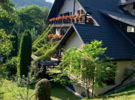 Pensiunea Mugur De Fluier，位于瓦马的酒店