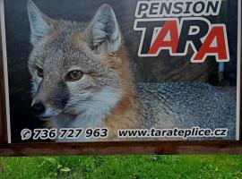 pension TARA，位于梅图耶河畔特普利采Kamenec附近的酒店