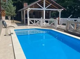 Chalet Mlyn
