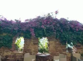 福迪卡花园酒店