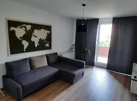 New Grey Apartament