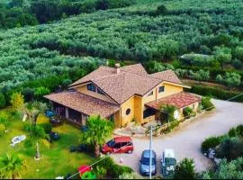 B&B Villa Molinari Restaurant e Baby Park