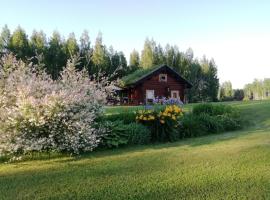 Päikseranna Holiday Centre，位于Nedsaja的度假屋