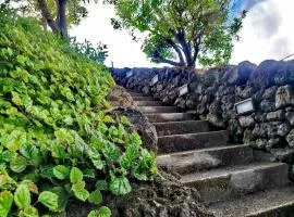 Casas do Tareco