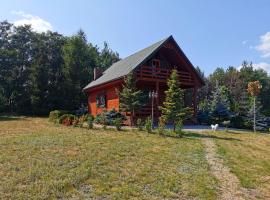 Domek na wsi nad jeziorem , prywatny staw，位于Kamieńczyk Dezerta的酒店