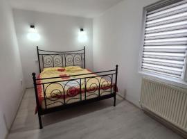 Apartament 2 camere，位于Mioveni的酒店