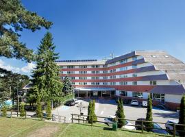 Alp Hotel Masella，位于拉马塞拉的酒店
