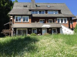 Schwarzwald Landhaus Leonore mit Alpenblick, Erdgeschosswohnung mit großer Gartenterrasse und Parkplatz，位于于林根-比肯多夫Brenden Ski Lift附近的酒店