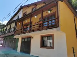 Casa de vacanta Constantin