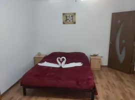 Apartament Nemira