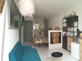 Studio cocooning，位于巴纽尔斯代勒阿斯普尔的酒店