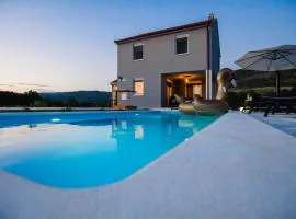 Family dream house