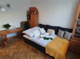 Apartament Park Saski II，位于桑多梅日的公寓