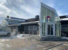 Frich's Hotell og Spiseri Alvdal，位于Alvdal的酒店
