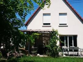 Gîte Alsace maison indépendante proche Strasbourg，位于米齐格的酒店