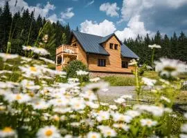 Apartmány Mezivodí