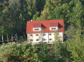 Hotel am See，位于Eschenbach in der Oberpfalz的酒店