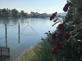 Rhein Promenade