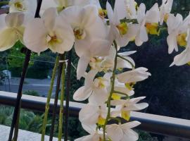 Alloggio Orchidea，位于蒙法尔科内的酒店