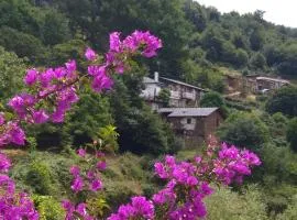 Ribera Sacra ( apartamento Rural )