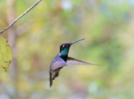 Hotel La Gloria，位于库埃察兰德尔普罗格雷索的酒店