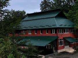 Pensiunea Dealu Hera，位于Rona de Sus的酒店