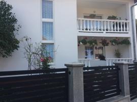 Pensiunea Grapini，位于Şanţ的酒店