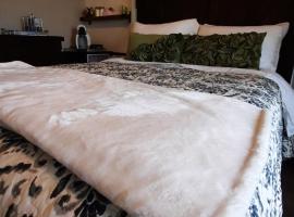 Back Home Lodging，位于Dutch Brook的酒店