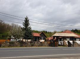 Pensiunea San Pio Sabisa，位于Săbişa的酒店