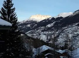 Appartement dans chalet typiquement savoyard au pied des pistes
