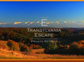Transylvania Escape，位于Richişu的带停车场的酒店
