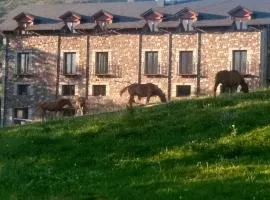 Apartamentos Fio de Neu con jardín, gimnasio, barbacoa