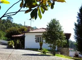 Quinta de S. Vicente 317