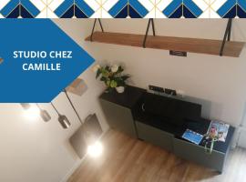 Thorigny-sur-Marne Studio chez Camille，位于Thorigny-sur-Marne的酒店