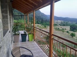 Vila Dodo，位于Leskovik的酒店