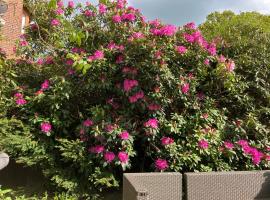 The Old Vine，位于Wadhurst的酒店