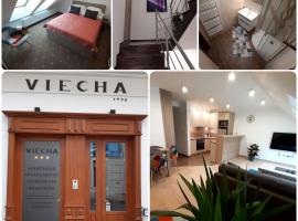 Apartmány Viecha，位于巴尔代约夫巴尔代约夫市政厅广场附近的酒店
