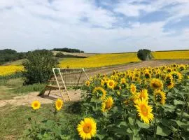 les gîtes d'en Julio
