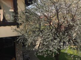 Pensiunea DARMA，位于莱斯诺夫的酒店